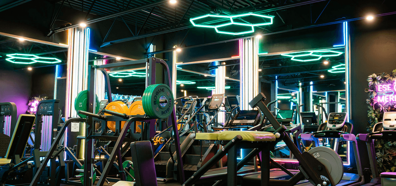 Woman training in a modern gym with green ambient lighting